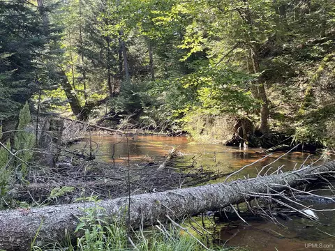 tbd Sunken Lk, Seney, MI 49883
