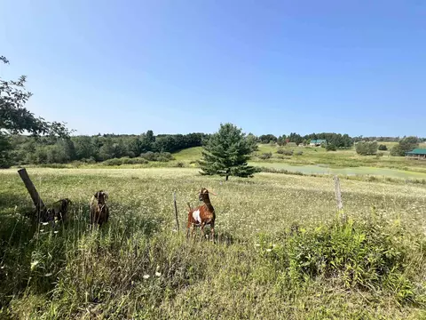 4556 Oberlin, Gladwin, MI 48624 photo 20