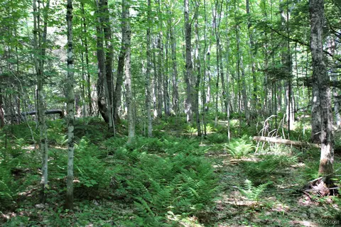 On W Shingleton, Shingleton, MI 49884 photo 9