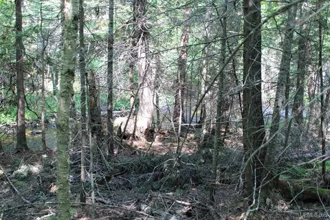On W Shingleton, Shingleton, MI 49884 photo 7