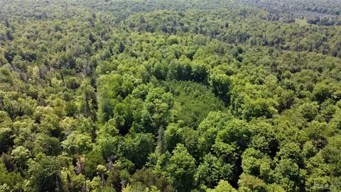 On W Shingleton, Shingleton, MI 49884 photo 11