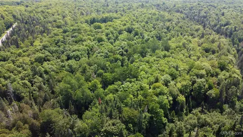 On W Shingleton, Shingleton, MI 49884 photo 15