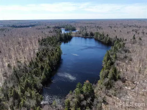 0 Rhody Cr Truck #CARTER LAKE RDP, Grand Marais, MI 49839