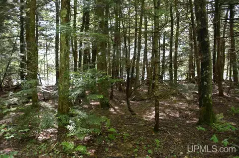0 H58, Shingleton, MI 49884 photo 8