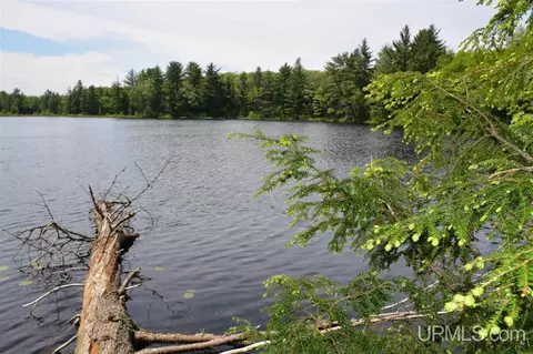 0 H58, Shingleton, MI 49884 photo 11