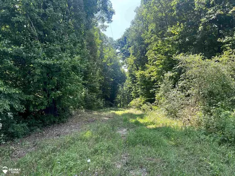 6000 S Rolland, Blanchard, MI 49310 photo 7
