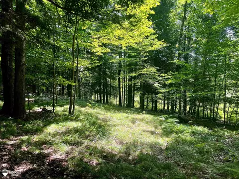 6000 S Rolland, Blanchard, MI 49310 photo 8