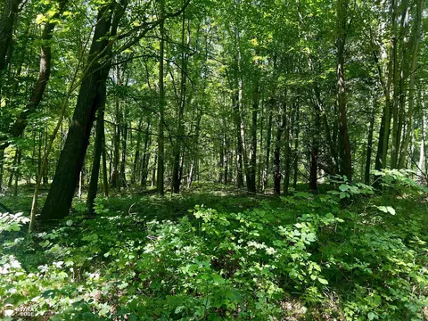 6000 S Rolland, Blanchard, MI 49310 photo 10