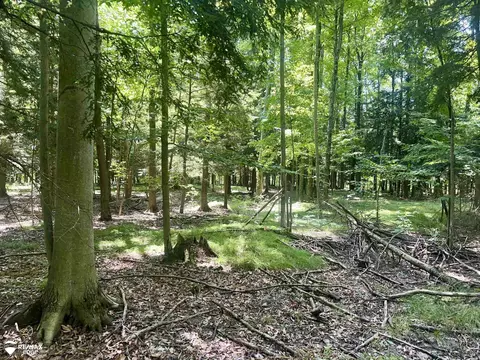 6000 S Rolland, Blanchard, MI 49310 photo 6