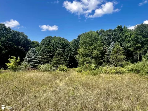 6000 S Rolland, Blanchard, MI 49310 photo 17
