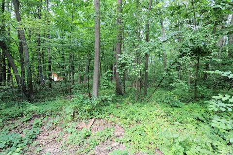 6334 Brewer, Flint, MI 48507 photo 3