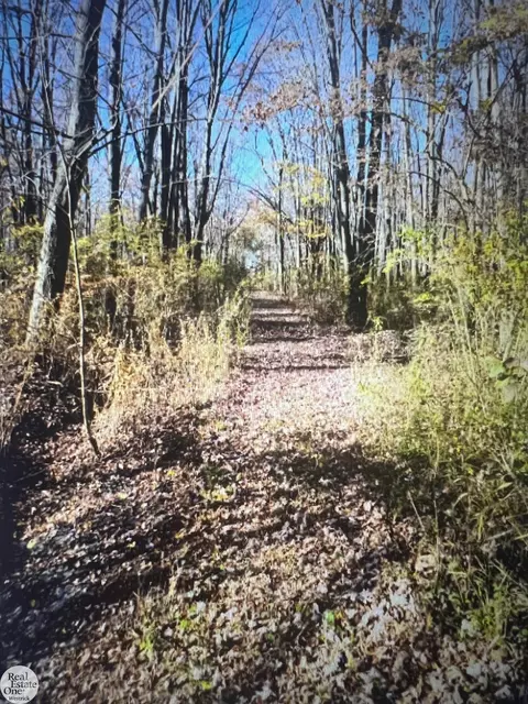 0 Petoskey, Clay, MI 48028