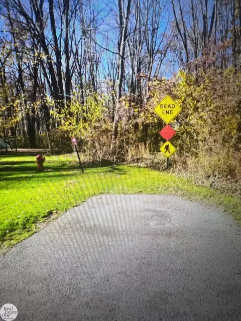 0 Petoskey, Clay, MI 48028 photo 2