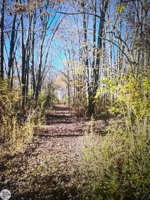 0 Petoskey, Clay, MI 48028 photo 5