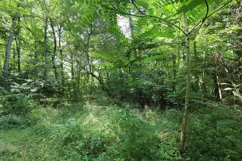 1518 Coutant, Flushing, MI 48433 photo 31