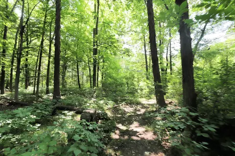 1518 Coutant, Flushing, MI 48433 photo 33