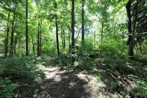 1518 Coutant, Flushing, MI 48433 photo 29