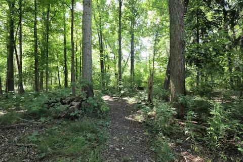 1518 Coutant, Flushing, MI 48433 photo 28