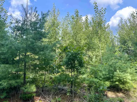 3251 Pinehurst, Gladwin, MI 48624 photo 18
