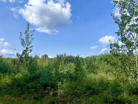 3251 Pinehurst, Gladwin, MI 48624 photo 20