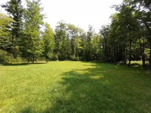4 26 Acres Shirley Ann, Harrison, MI 48625