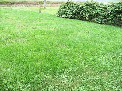 8554 Monroe, Durand, MI 48429 photo 33