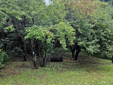 Exterior - 1320 Comet, Wakefield, MI 49968 photo 8 of 9