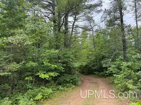 n17031 Sonnenberg Road, Pembine T-wi, WI 54156