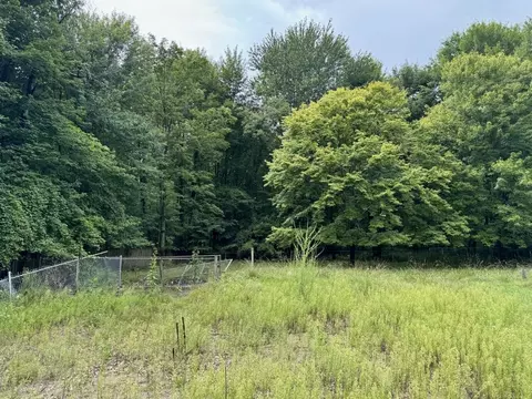 13350 Nichols, Burt, MI 48417 photo 3