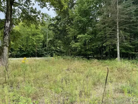 13350 Nichols, Burt, MI 48417 photo 5