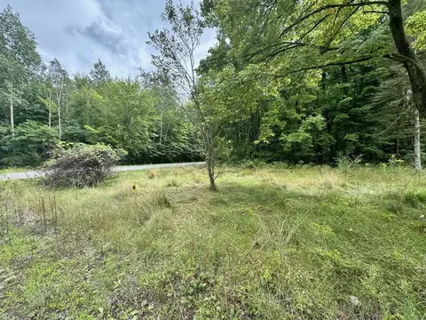 13350 Nichols, Burt, MI 48417 photo 9