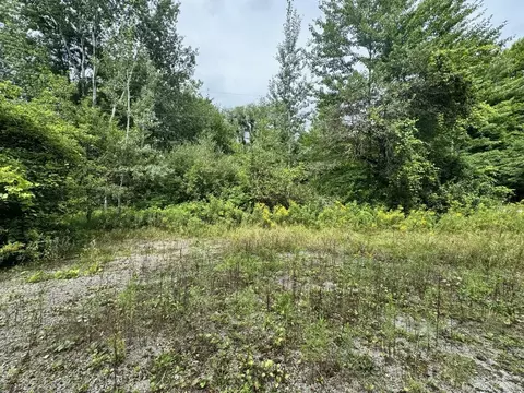 13350 Nichols, Burt, MI 48417 photo 8