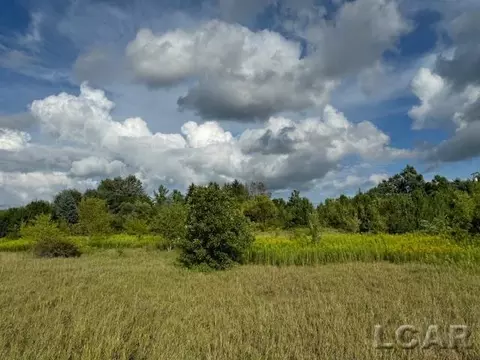 9144 Warner, Saline, MI 48176 photo 5