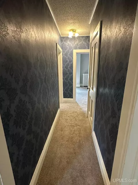 Entry Way - 116 E Main, Negaunee, MI 49866 photo 8 of 8