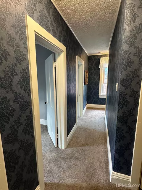 Entry Way - 116 E Main, Negaunee, MI 49866 photo 6 of 8