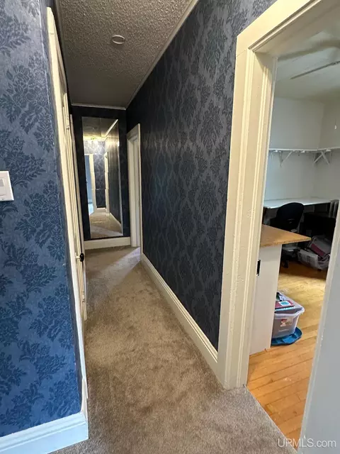Entry Way - 116 E Main, Negaunee, MI 49866 photo 5 of 8