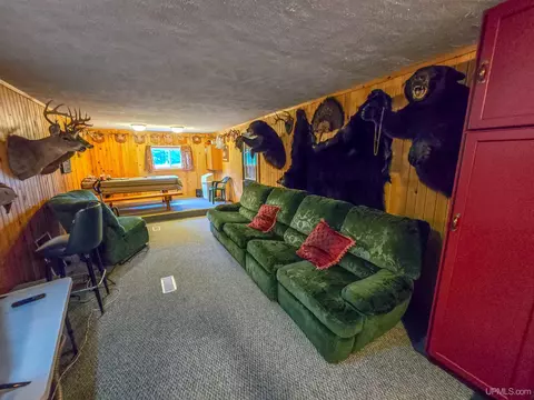 Other - 4889 E Maple Ridge 37th, Rock, MI 49880 photo 2 of 17