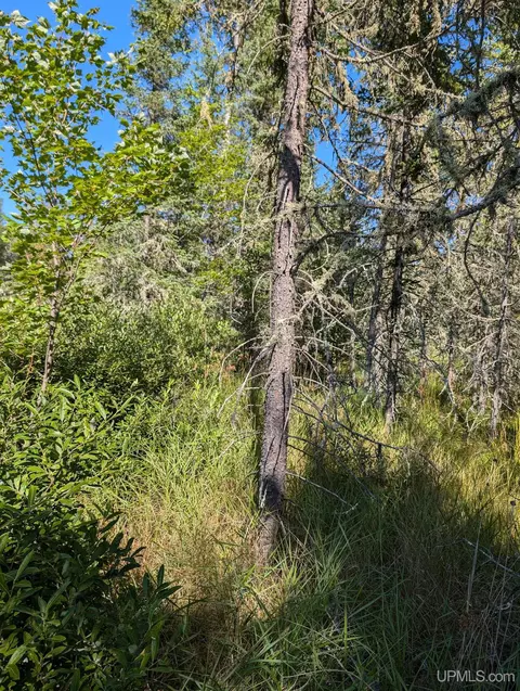 tbd Little Lk, Gwinn, MI 49841