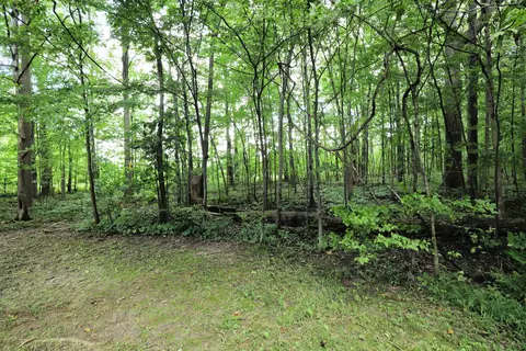 7298 N Nichols, Flushing, MI 48433 photo 28