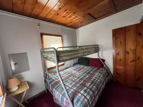4469 Walnut, Alger, MI 48610 photo 30