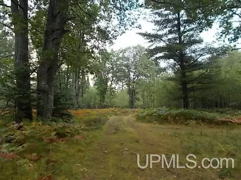 tbd Woods, Florence T-wi, WI 54121