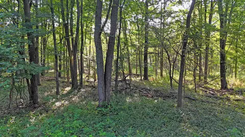 Baldwin, Chesaning, MI 48616 photo 6