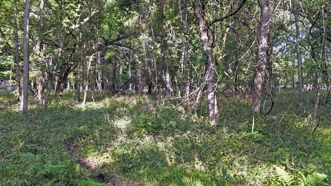 Baldwin, Chesaning, MI 48616 photo 9