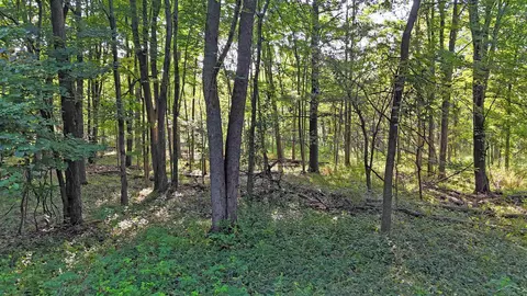 Baldwin, Chesaning, MI 48616 photo 6