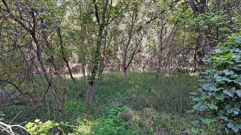 Baldwin, Chesaning, MI 48616 photo 7
