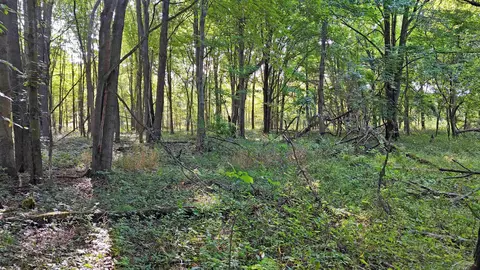 Baldwin, Chesaning, MI 48616 photo 11