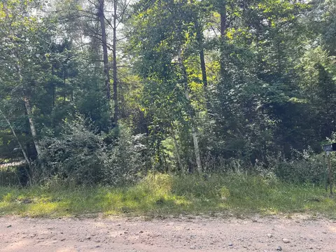 N/a Bear Cub, Alger, MI 48610 photo 6