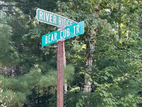 N/a Bear Cub, Alger, MI 48610