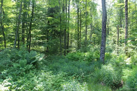 On E Shingleton, Shingleton, MI 49884 photo 17