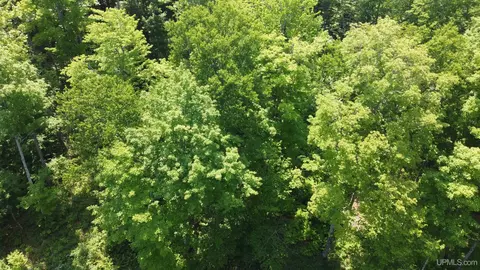 On E Shingleton, Shingleton, MI 49884 photo 24